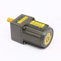 15W 50/60Hz Reversible Gear Motor with Gearbox